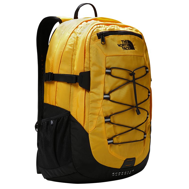 The North Face Borealis