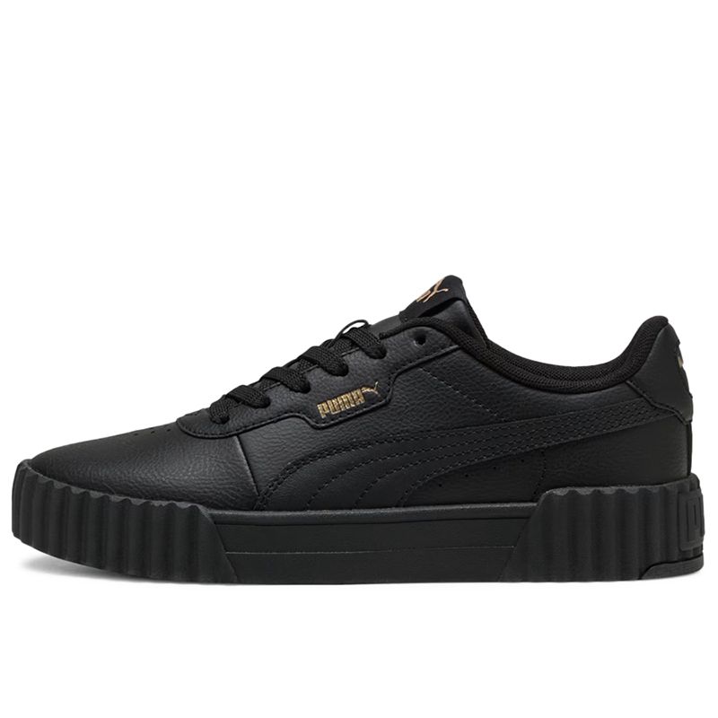 Puma Carina 3.0