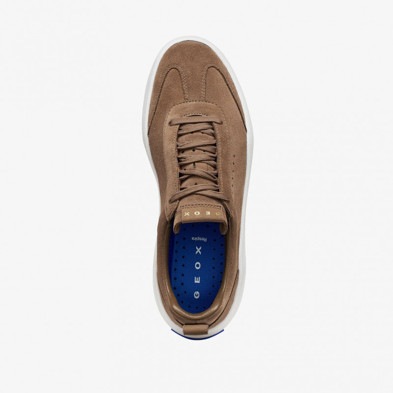 Geox Gxcp-02 Dark Brown