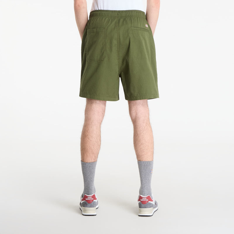 Dickies Pelican Rapids Cypress