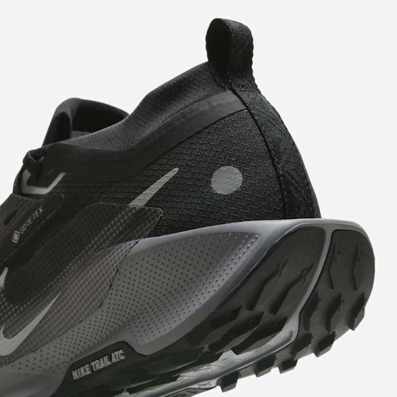 Nike Wmns Pegasus Trail 5 Gore-Tex