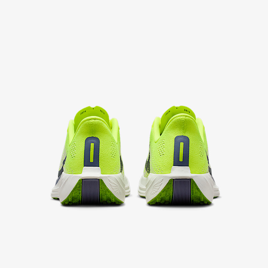 Nike Wmns Pegasus Plus