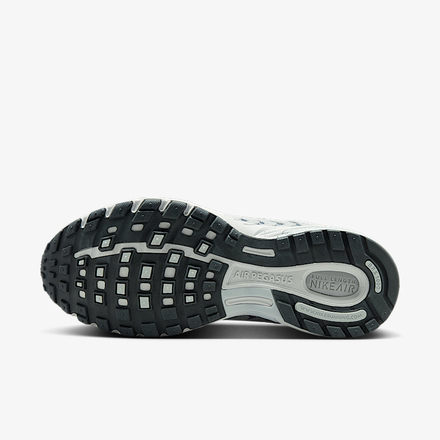 Nike Wmns Air Pegasus 2005