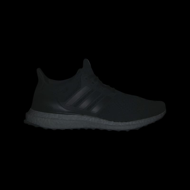 adidas Wmns Ultraboost 1.0