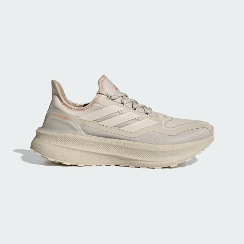 adidas Ultraboost 5 GTX