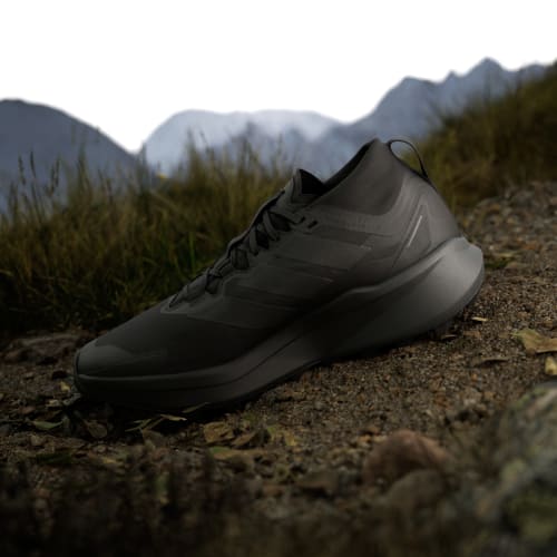 adidas Terrex Agravic GTX Trail Running