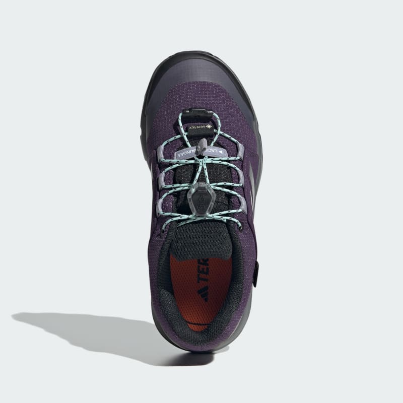 adidas Terrex GORE-TEX Hiking