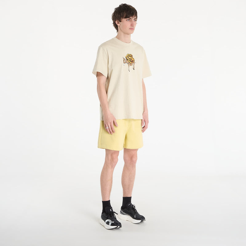 The North Face M Donkey Taxi Relaxed Short Sleeve Tee Graphic Desert Stone