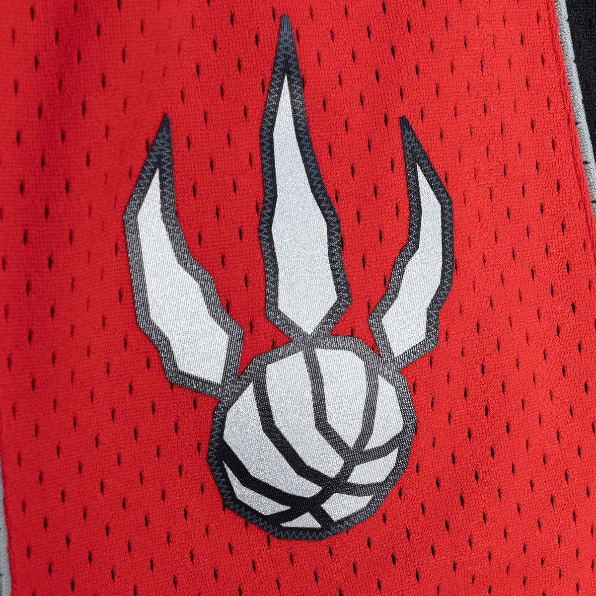 Mitchell & Ness NBA Swingman Shorts Toronto Raptors 2012-13