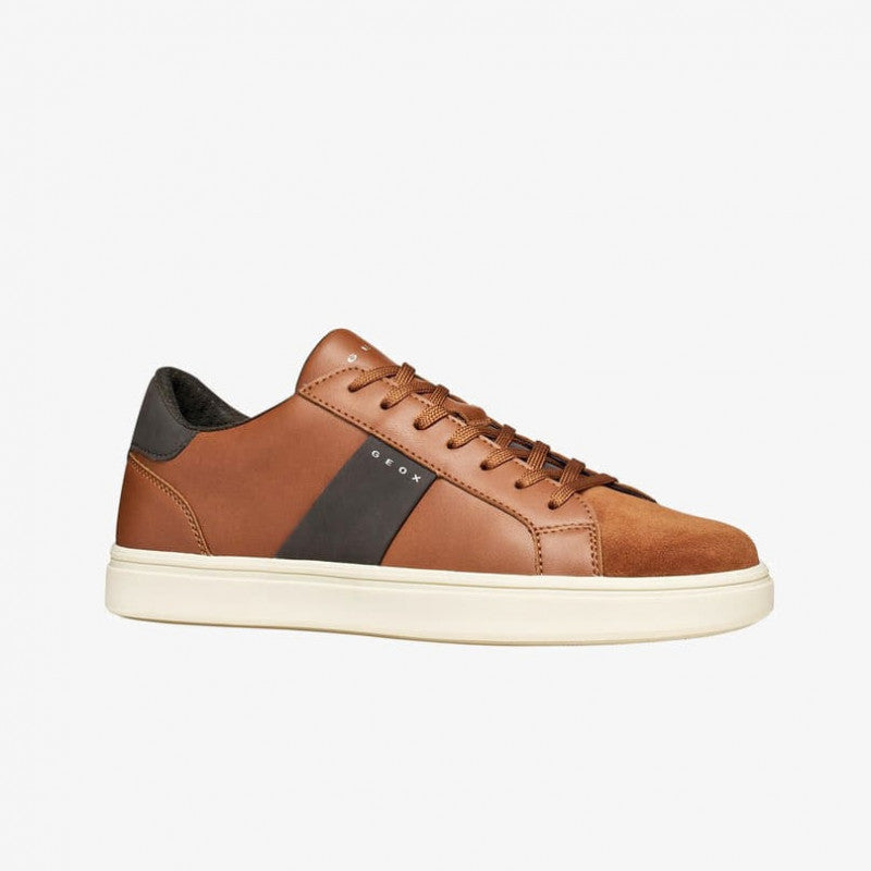 Geox Baltmoore Brown